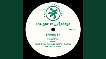 What Is the World Come To? (feat. Ashaye) (Na Mix)