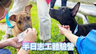 台中動物之家后里園區半日志工體驗營-與浪浪的午後時光｜志 ... 