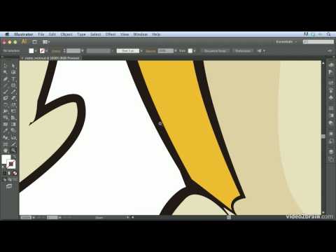 What Is Adobe Illustrator?