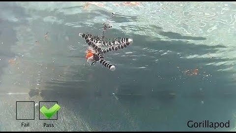 Testing Mounts With GoPro Floaty Backdoor - GoPro Tip #53 | MicBergsma