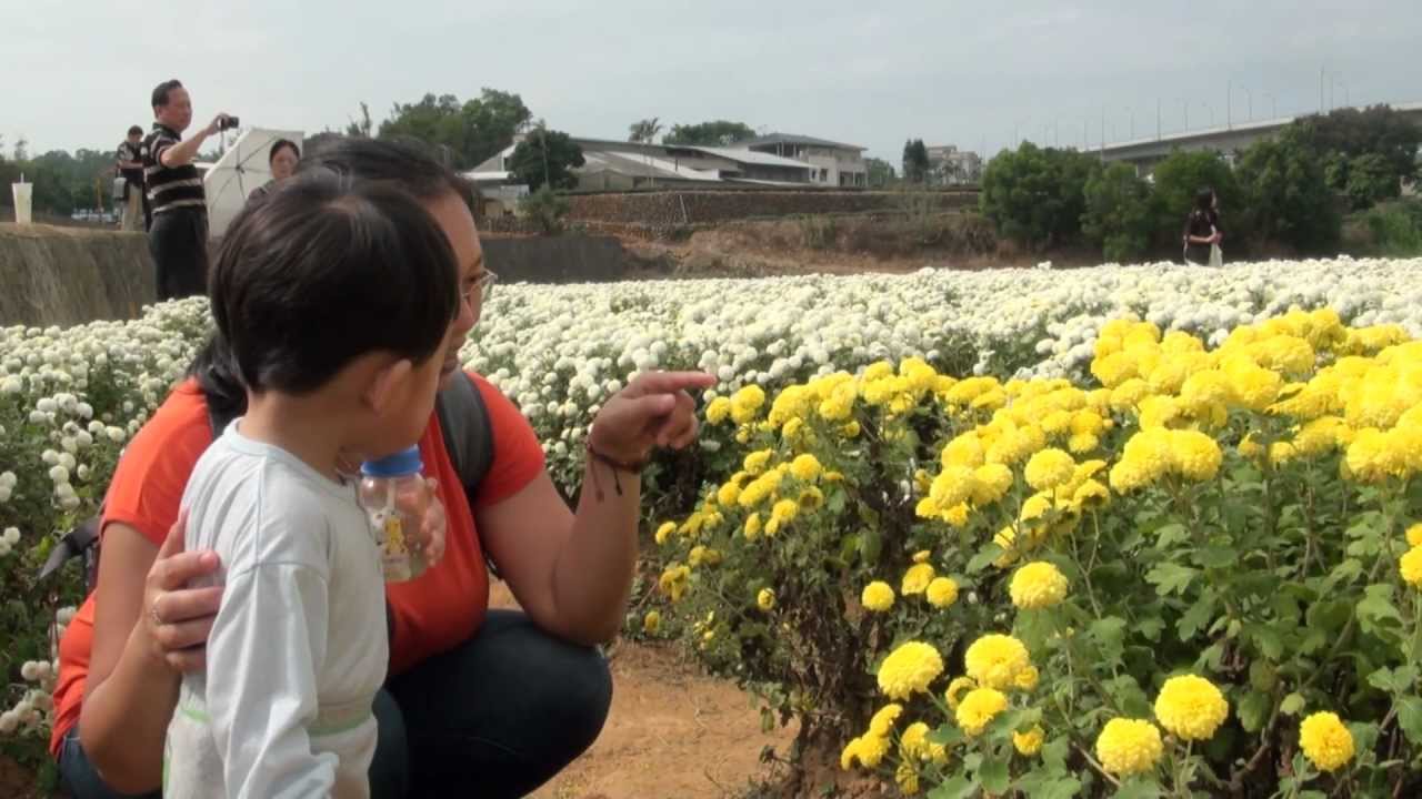 20121114苗栗銅鑼賞花行