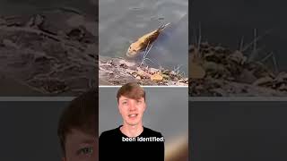 Celebrity Things Humans Were Never Meant To See Profile