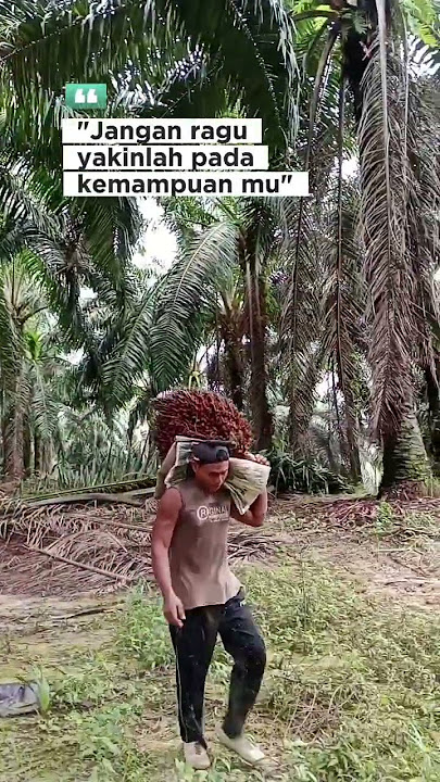 Jangan ragu yakinlah pada kemampuanmu. #katakatamotivasi #sawitindonesia #fyp