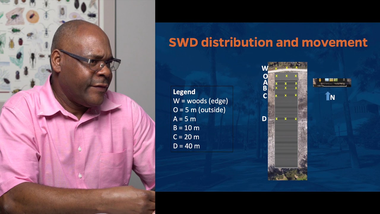 Spotted Wing Drosophila Management in Organic Strawberries, by Dr. Oscar Liburd