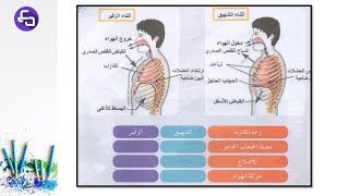 الدرس  16:علوم طبيعية اولى متوسط المبادلات الغازية التنفسية عند الانسان