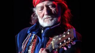 Willie Nelson To Make A Long Story Short