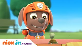 دوريات المخلاب تنقذ سلحفاة | دوريات المخلاب | Nick Jr. Arabia