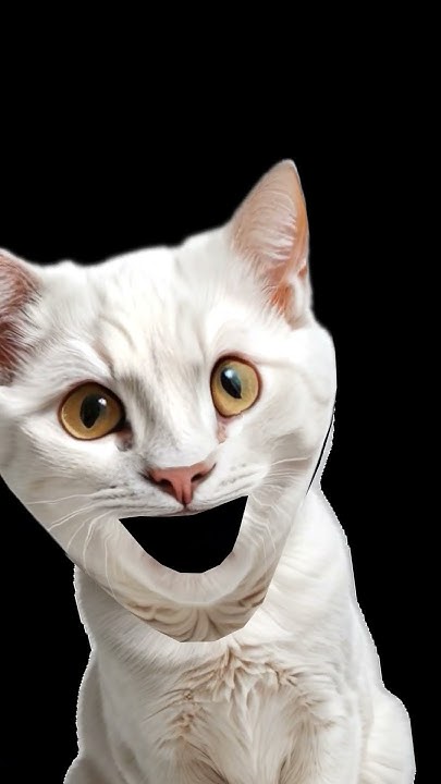 Молитва ло святого миколая