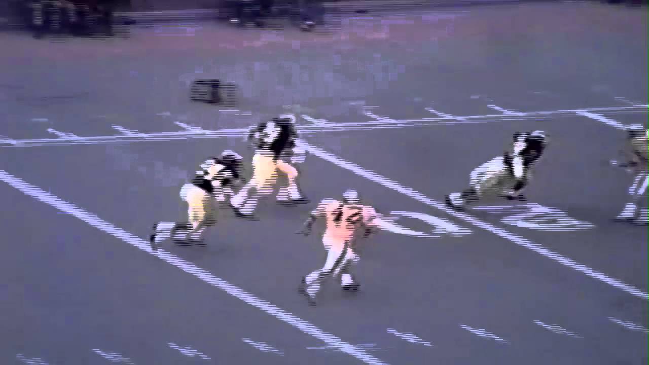 Greatest Seasons 1969 Football Michigan Beats Vanderbilt YouTube