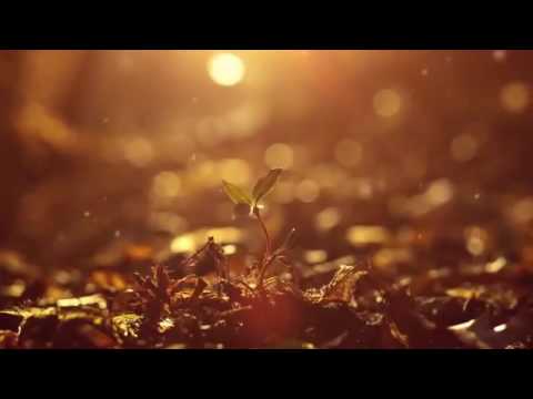 دعاء للغالين على القلب 