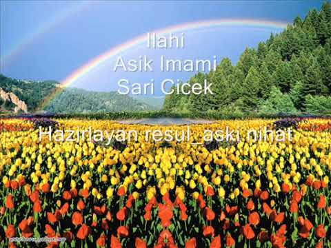 #asikimami #saricicek #ilahi #nasheed  AŞIK IMAMI SARI ÇİÇEK!