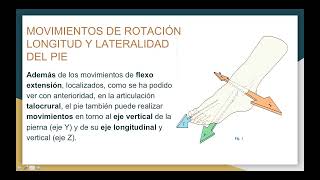 VIDEO CLASE 5 CECIDEM biomecánica del pie Parte 1