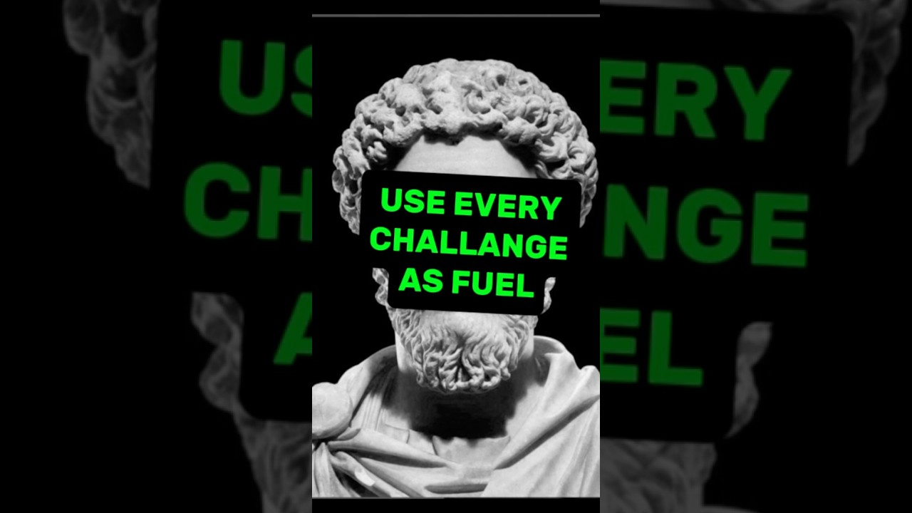 The Obstacle Is The Way (Marcus Aurelius)