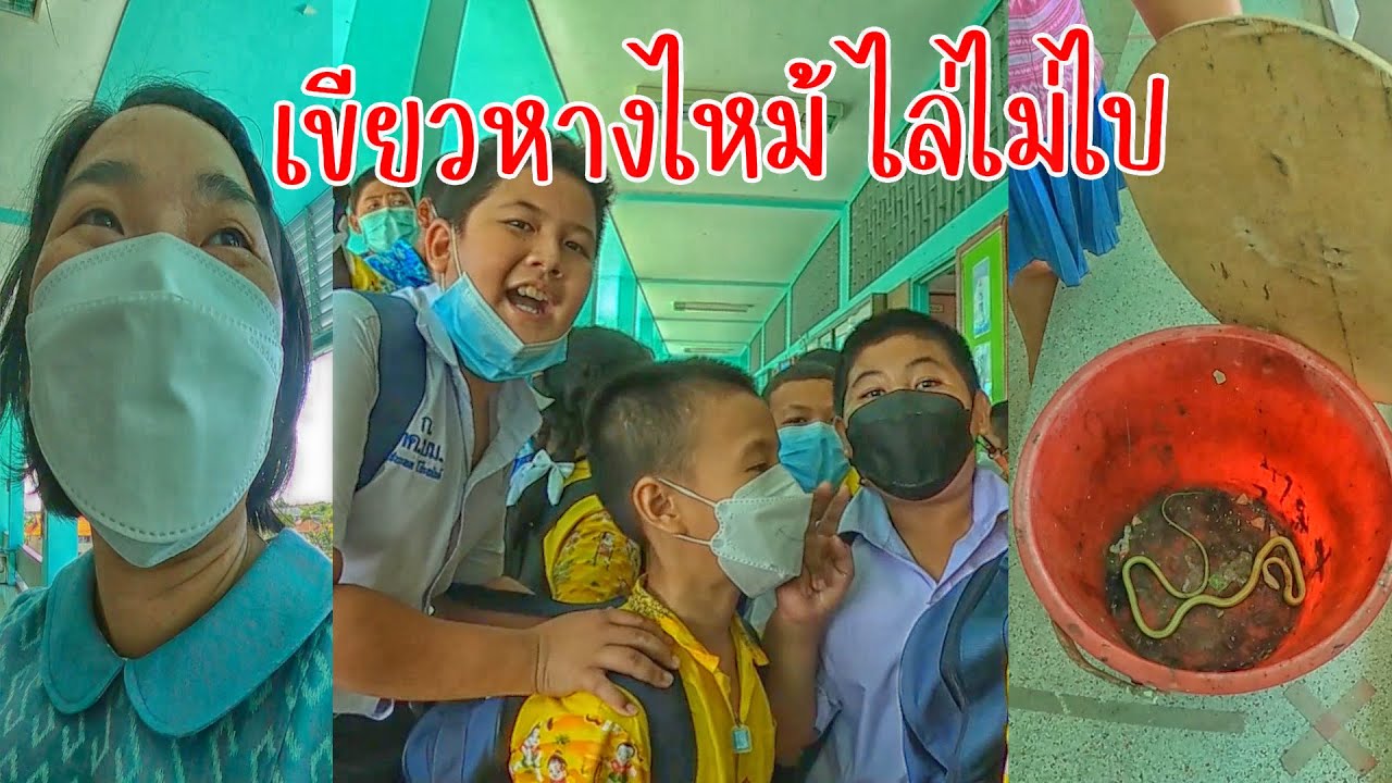 เขียวหางไหม้ ไล่ไม่ไป | ครูนกเล็ก