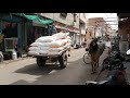 Верблюды на улицах в Индии. Биканер.