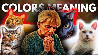 The Spiritual Significance Behind Cat Colors! | meaning of colors