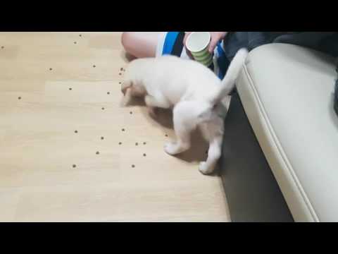 마음이2