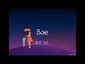 LYRIC - ENTRE LINHAS - BAE