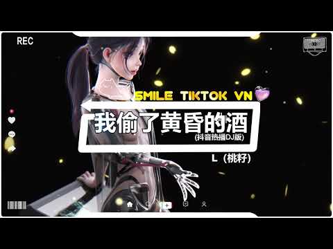 Video L（桃籽） - 我偷了黄昏的酒 (抖音热播DJ版) Tôi Đã Trộm Hoàng Hôn Làm... - youtube