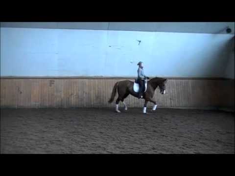 Lillian Pink owned by Laurie Cameron