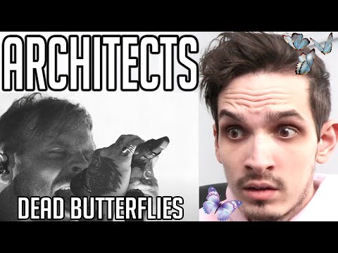 Metal Musician Reacts