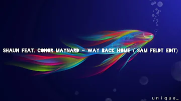 SHAUN FEAT. CONOR MAYNARD - WAY BACK HOME , SAM FELDT EDIT ringtone 🎵