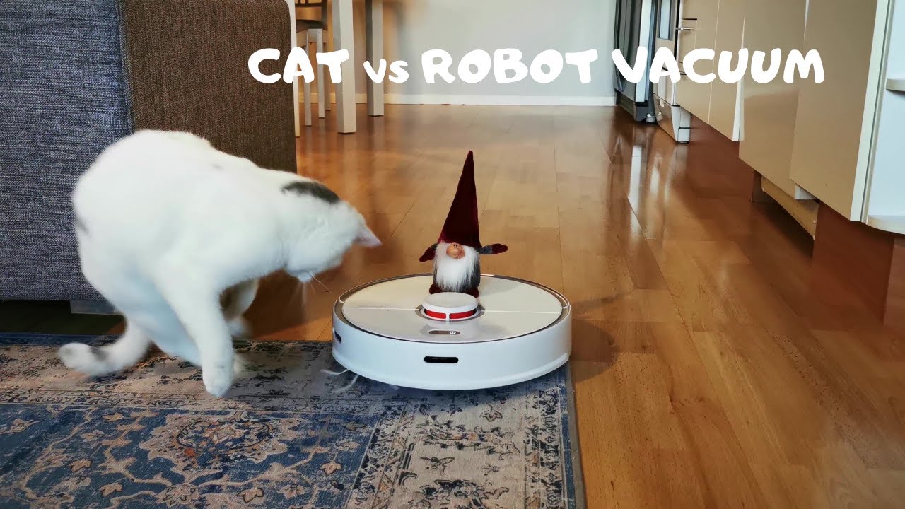CAT AND ROBOT VACUUM CAT Fights With Cleaning Robot YouTube