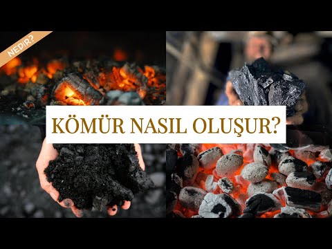 Kömür Nedir? | Kömür Nasıl Oluşur?