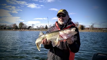 Cold Water Walleye on Plastics – Fishing Edge TV