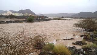 20130426وادي سمائل 1 ـ جمادى الثانية 1434هـ