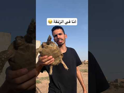 أنا في الزنقة