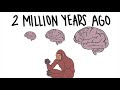 The Evolution of the Human Brain