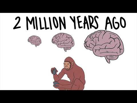 Video: The Brain Evolved From The Idleness Of Man In Paradise - Alternative View