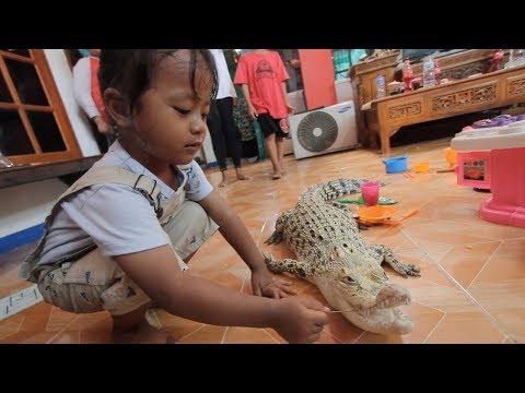 Toddler Lives With Crocodile