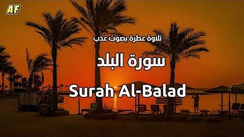 90- سورة البلد بصوت شجي وجميل - القارىء الشيخ علاء عقل