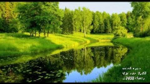 حماد عزي - سورة القيامه - رمضان 1438هـ