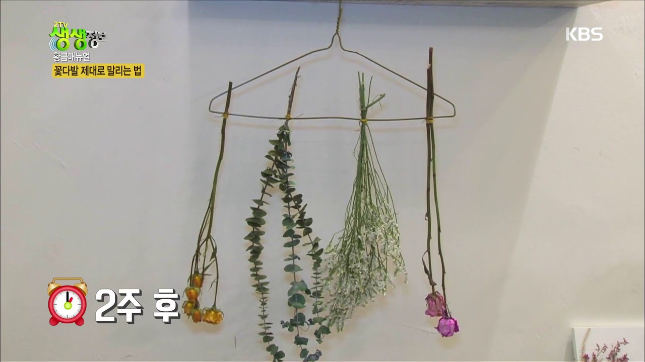 꽃다발 제대로 말리는 법[2tv 생생정보] 20190503