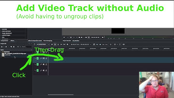 Kdenlive: Add Video Without its Audio