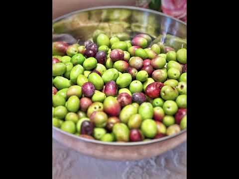 Video: Măsline Negre: Pregătirea Salatelor Cu Măsline