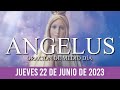 Ángelus de Hoy JUEVES 22 DE JUNIO DE 2023 ORACIÓN DE MEDIODÍA