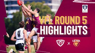 VFL Highlights: Rd 5  v Southport