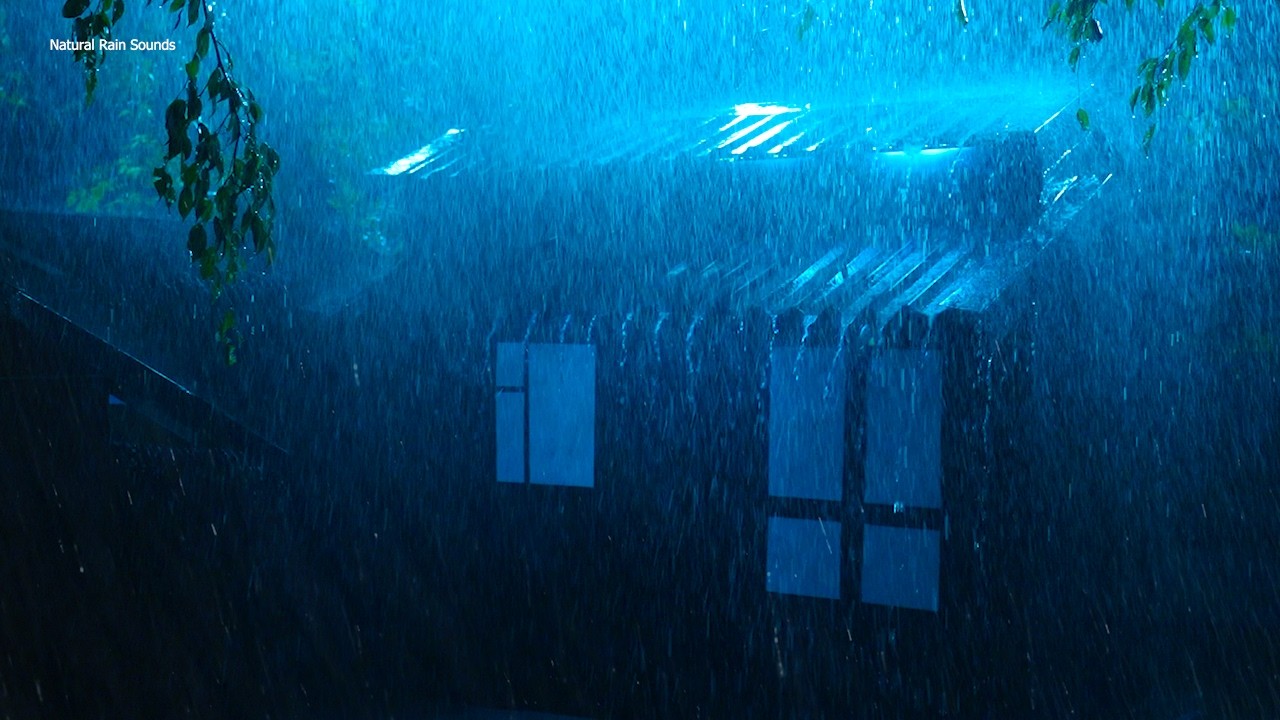 Победа над бессонницей за 3 минуты: сильный дождь и непрерывный гром сотрясали фермерский дом ночью