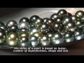 Mark Kane Designs - Tahitian Black Pearl Jeweler