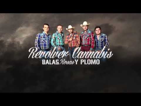 La Ambiciosa Video