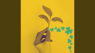 Vivacious Backdrops for Lazy Together