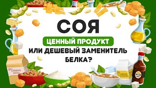 ЧТО МЫ ЗНАЕМ О СОЕВЫХ ПРОДУКТАХ? | Интересные факты, мифы, польза и вред