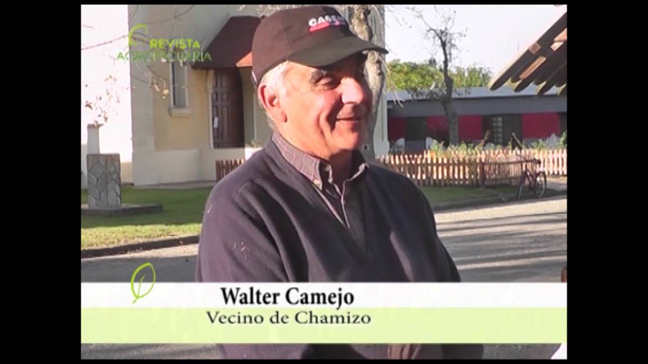 WALTER CAMEJO - CHAMIZO - FLORIDA