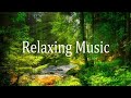 Musik Relaksasi ketenangan hati dan pikiran Relaxation