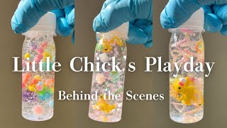 🐥Little Chick’s Payday !🐤 DIY Making Compilation