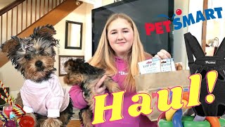 Giant Pet Haul For My New Yorkie Puppy!